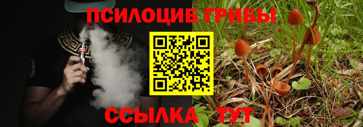 Псилоцибиновые грибы Magic Shrooms  Галлюциногенные грибы мицелий  Вход с VPN  Ликино-Дулёво 